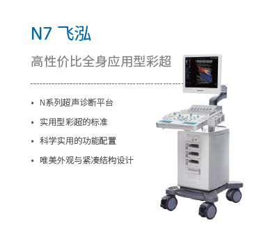 N7 飛泓