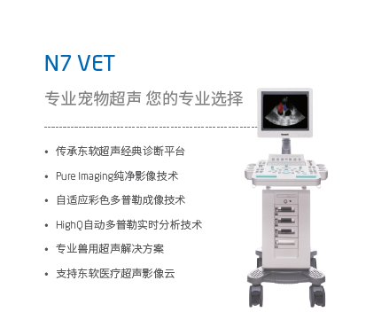 N7 VET